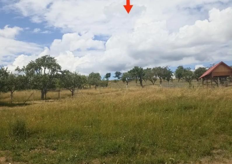 De vanzare teren extravilan in Valea Crisului - 6