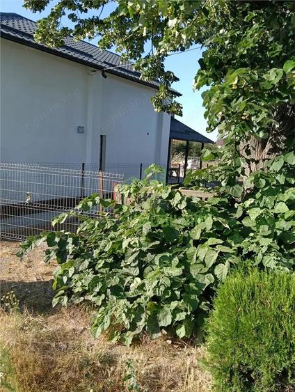 casa cu plata in rate la dezvoltaror - 9