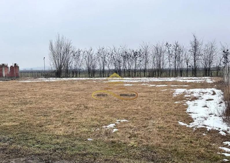 Teren de vanzare Siretu Saucesti Bacau - 6