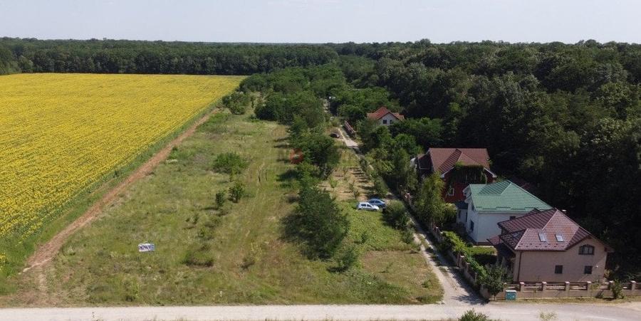 Snagov padure - Teren intravilan cu PUZ aprobat - 8