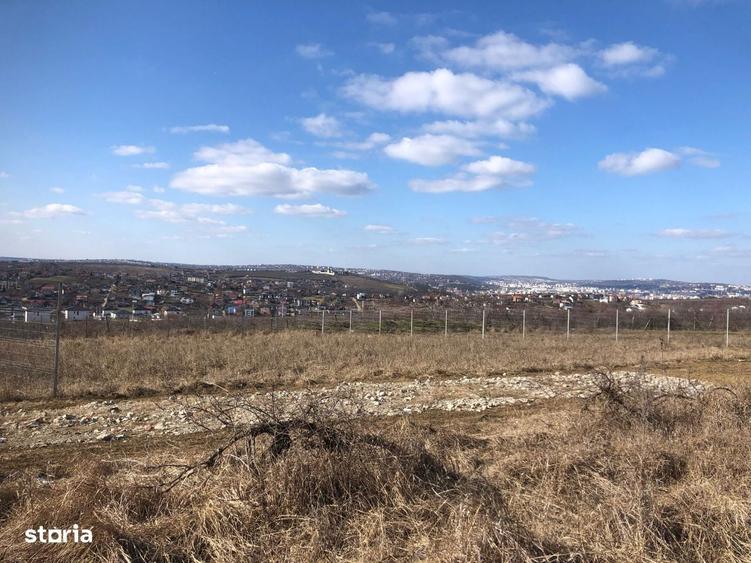 Teren intravilan Bucium 1000 mp, dealul Craitelor - 7