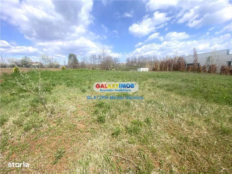 Vanzare teren intravilan Paulesti Prahova - 10