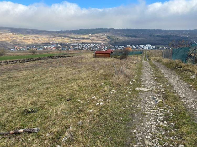 Teren 1200mp Cluj Napoca Str. Odobesti - Extravilan - Oportunitate - 6