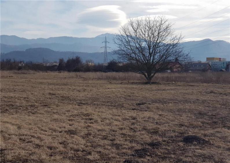 Teren 511 mp Bartolomeu - 5