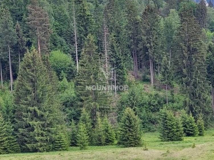 Teren intravilan în Poiana Brașov, 0% COMISION - 4