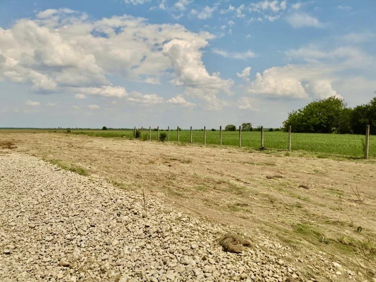 Teren in Butimanu cu Deschidere la Lac-Jud. Dambovita - 9