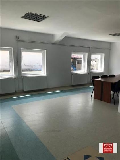 Hala renovata, cu acces rapid la autostrada - 6