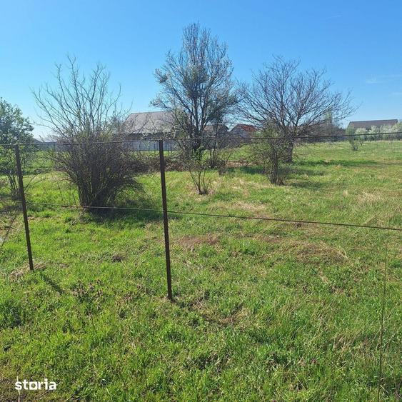 Teren de 2262 mp, în Dragomirești-Vale