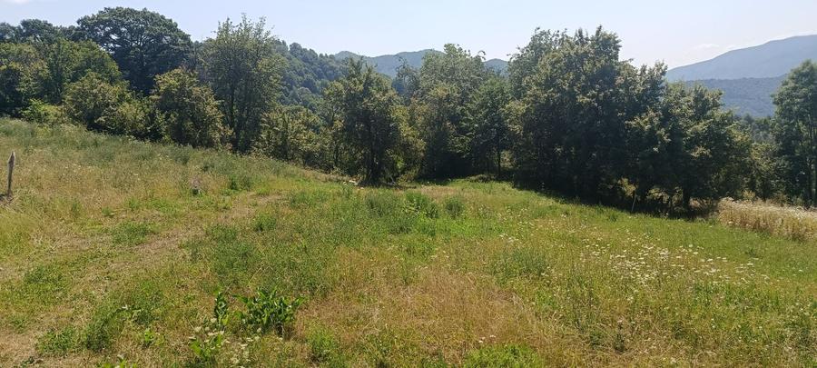 Casă cu 4 camere în Copăceni