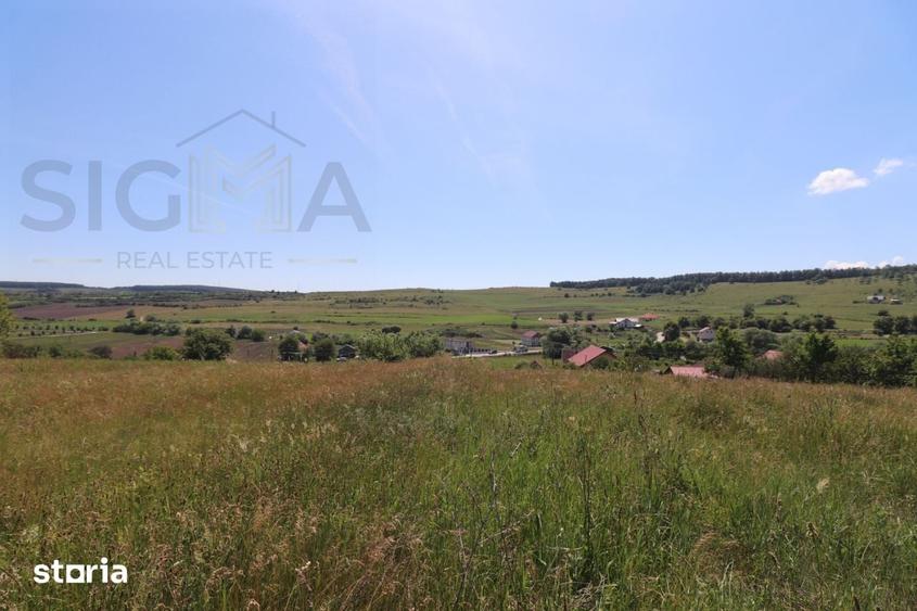 Teren de 3834 mp, în Vultureni