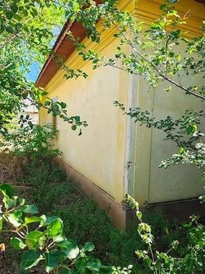 Teren de vanzare + Casa , sat Vartop, Corabia, Olt - 4