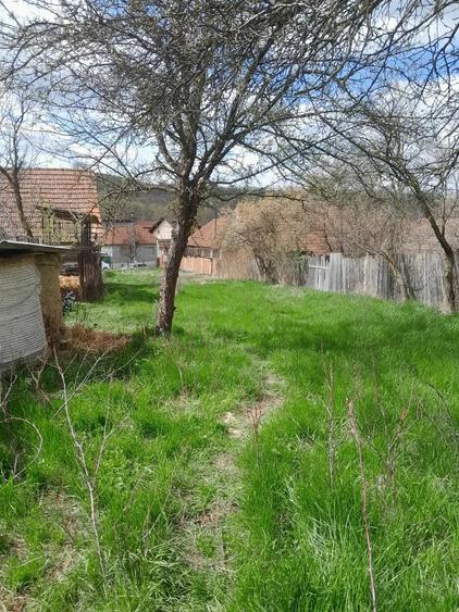 Teren de 2360 mp, în Vaidei