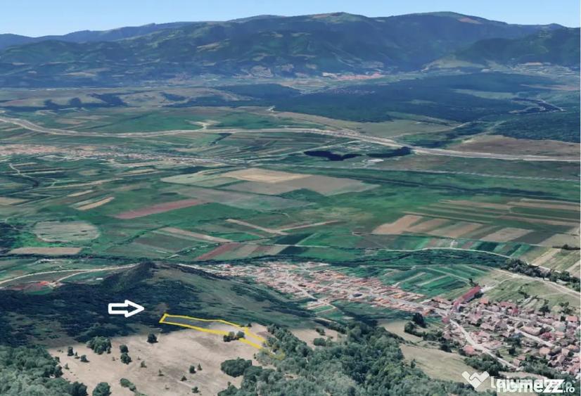Teren extravilan 5500 mp, la padure zona Selimbar (Mohu) - Selimbar (Sibiu) - 2