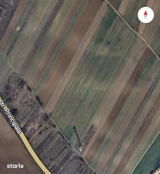 Teren de 11000 mp, în Coșoveni