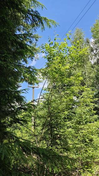 Teren de 3436 mp, în Ceahlău