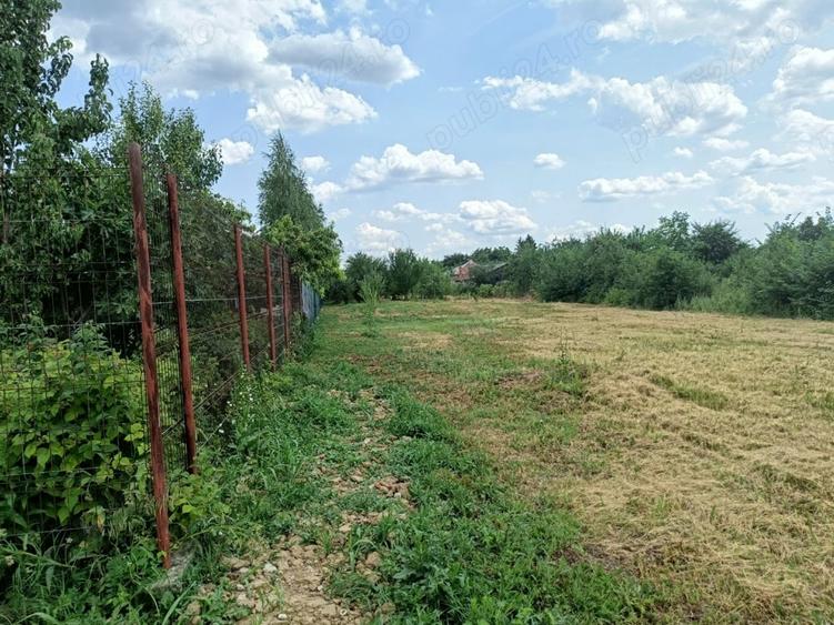 Teren de 3092 mp, în Bolintin-Deal