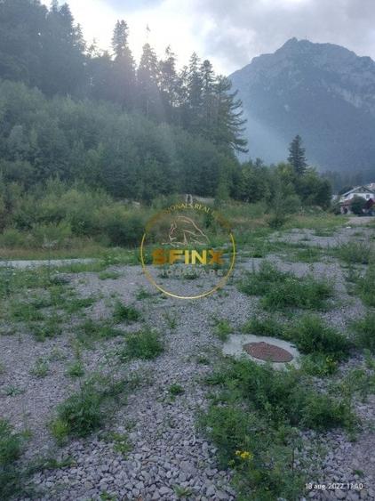 Teren intravilan 15.000 mp Busteni - 5