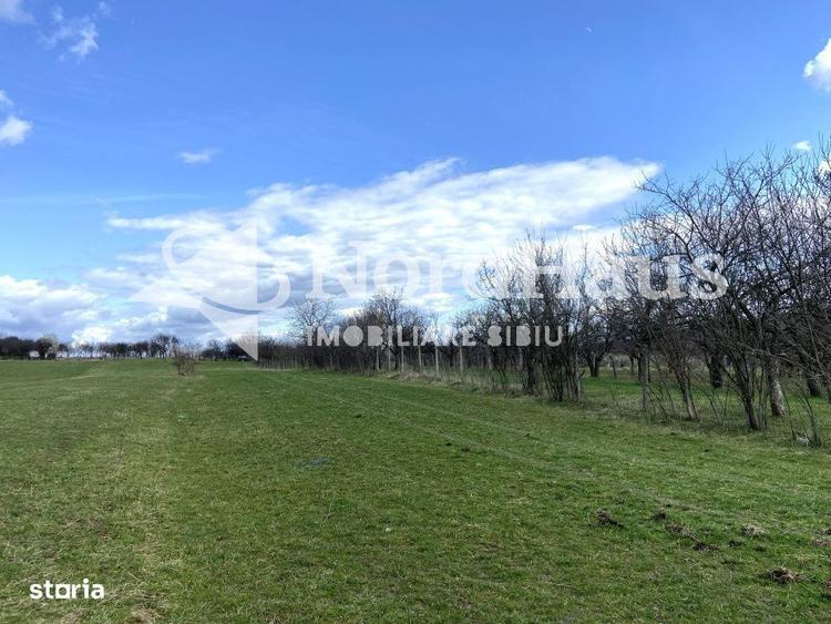 Teren Extravilan Rasinari 1500 mp | Zona deosebita - 2