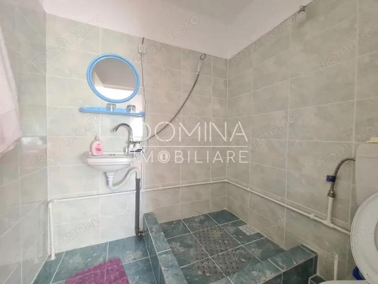 Vanzare proprietate multifunc?ionala, in Arcani, sat Sanate?ti - la DN 67 D - 6