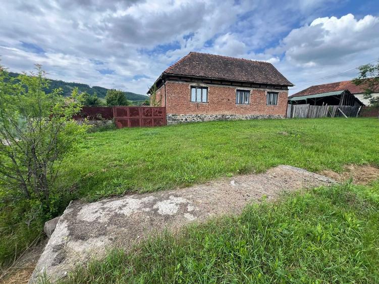 Vand Casa in Revetis, judetul Arad, teren 2880 mp, fantanta + curent - 5