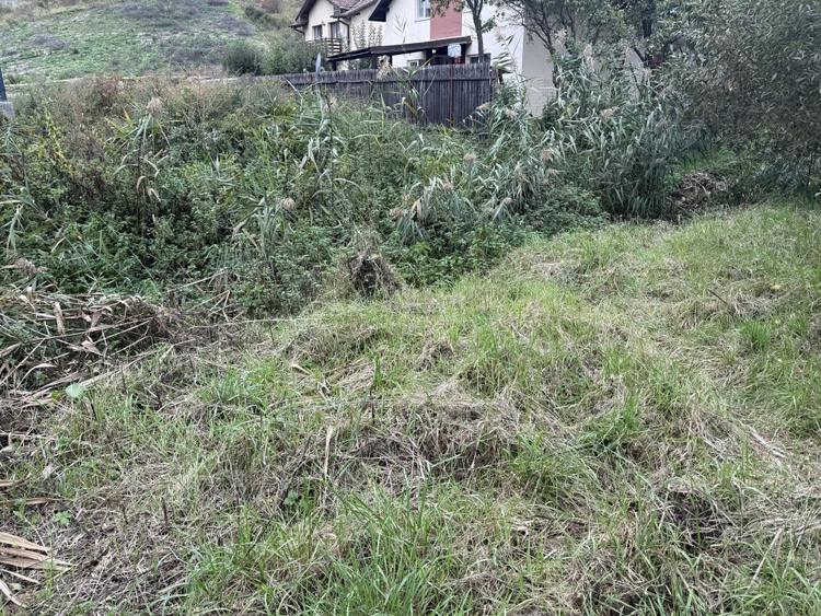 Teren intravilan 890mp in Chinteni - zona centrala, strada principala - 4