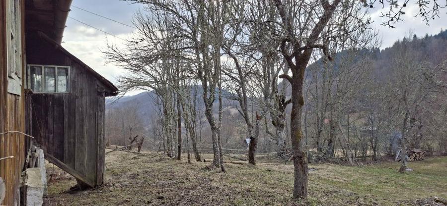 Casa de vanzare in Bucium (Alba) cu teren generos, apr - 7