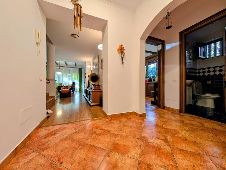 Jiului-Coralilor-Damaroaia,eleganta,robusta,garaj,curte intima,vegetatie matura - 9