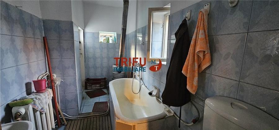 OFERTĂ!!! Casă în Cricău cu 1776mp teren, 1 ha teren arabil - 15