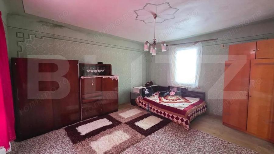 Casa cu teren 32 ari Viile Tecii, la 30 km de Bistri?a - 8