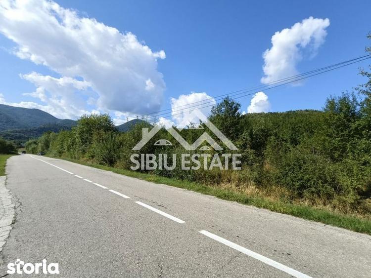 Teren construibil ,la sosea, intre Vale si Sibiel, zona cu potential - 6