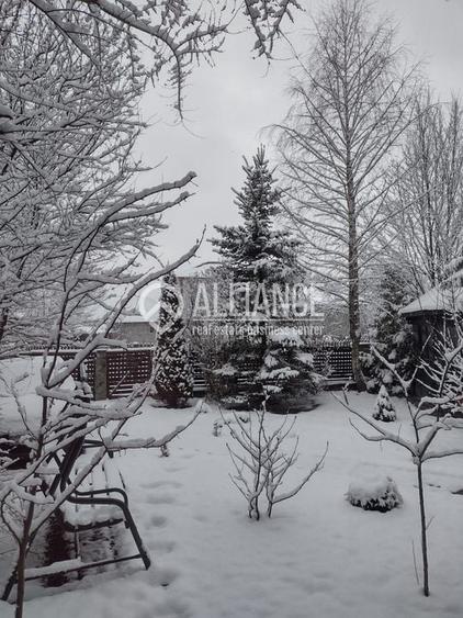 BREBU/PRAHOVA(cod04)-Casa P+1 zona mirifica - 13