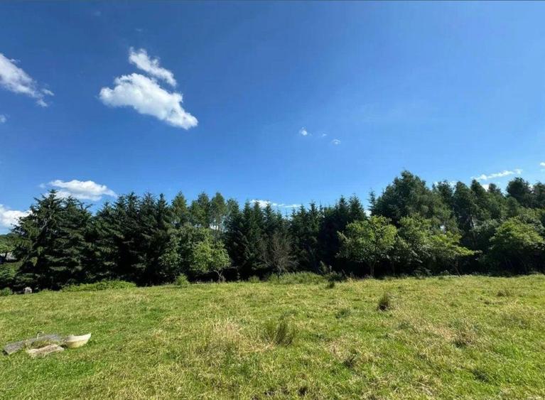 Teren intravilan de 5.755 mp în Doboeș, Sighetu Marmației - 2