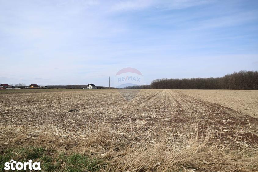 Teren 9,740mp Suceava / Strada Principala - 7
