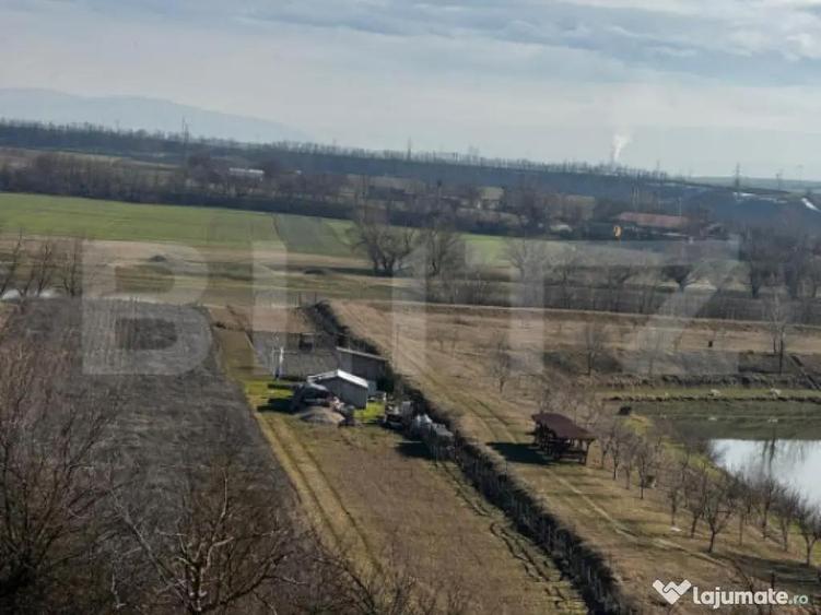 Teren extravilan 3100 mp cu ie?ire la raul Mure? - 5