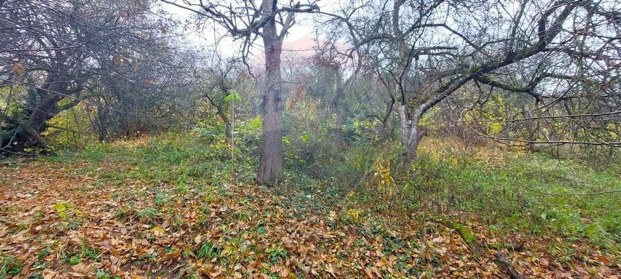 Comision 0! Casă  cu teren de 1000mp in inima Brasovului - 3