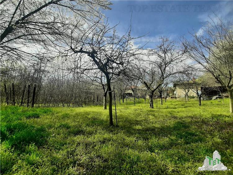 Casa la curte cu livada/teren 1274 mp in Bragadiru - 8