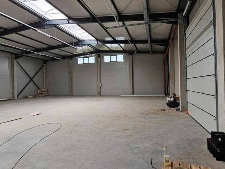 Pantelimon DN3 hala 600 mp - 9