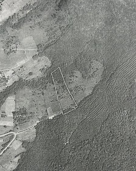 RECO, teren extravilan, Zona Sinteu, Bihor - 2