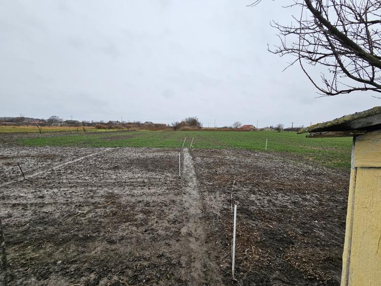 Casă individuală, cu 3 camere, în localitatea Ivanda, la 30 km de Timișoara - 22