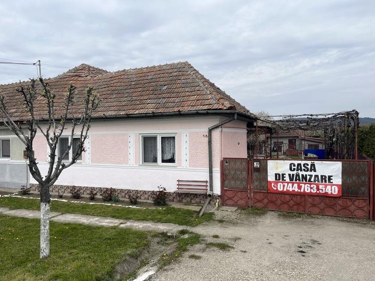 Casa de vanzare cu anexe - 7