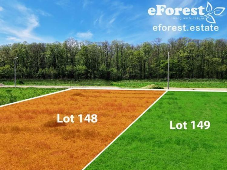 Teren rezidential la padure Crevedia - 7