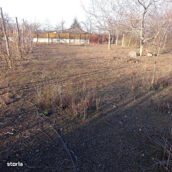 Vand teren intravilan , Islaz, Ilfov - 2