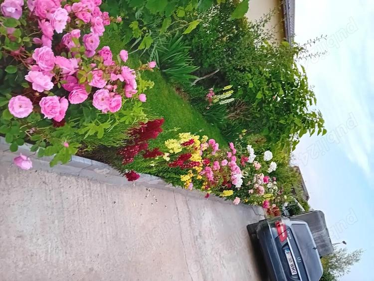 Casa 90mp complet utilata ?i mobilata 130 000 e negociabil - 9