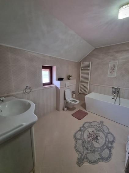 Casa de vanzare spre Vetis, drum principal - 18