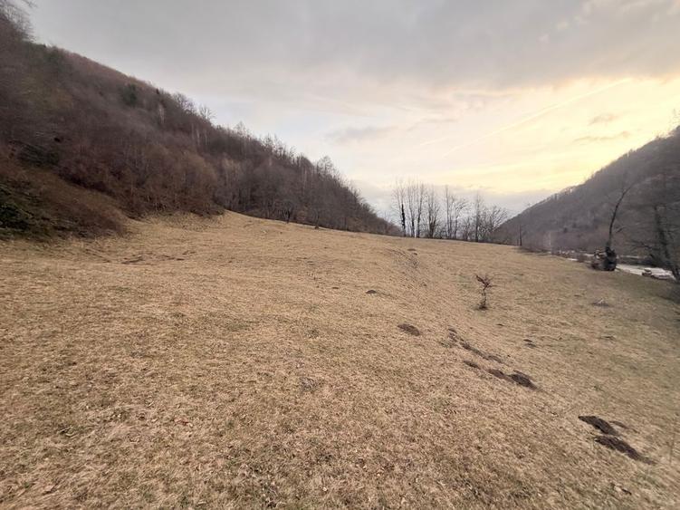 Vand Teren Valea Streiului ! - 5