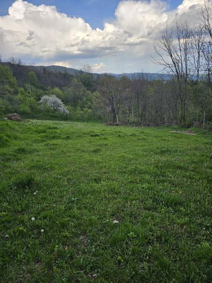 Loturi de Vanzare! - 7