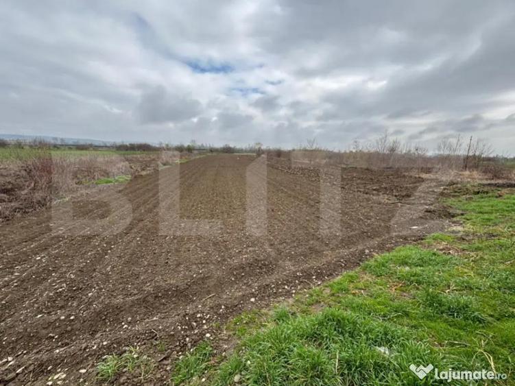 Teren 2.000 mp, deschidere 20 ml langa Complexul de Na - 2