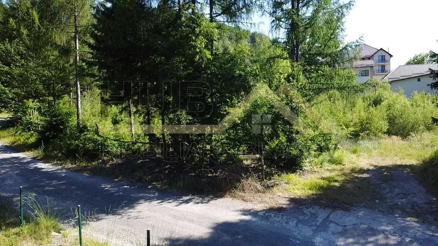 Oportunitate Investitie Teren Dambu Morii | Necesar PUD | Utilitati | 4.800mp - 8