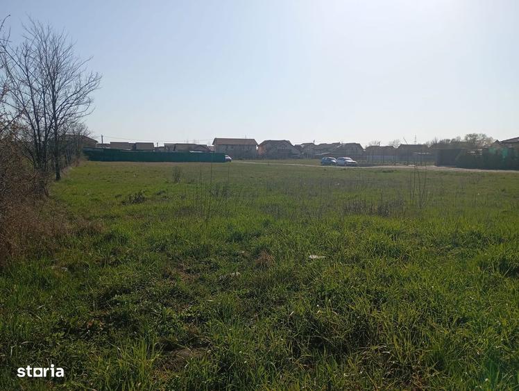 Teren pentru casa sau duplex pozitie excelenta Mosnita Noua - 5