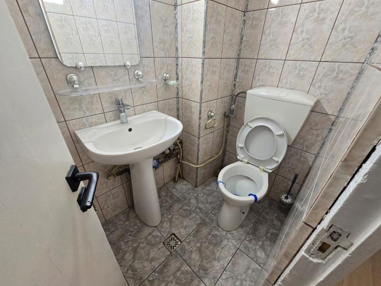 Apartament 3 camere Eremia Grigorescu - zona Izvor, Alexim, parter - 7